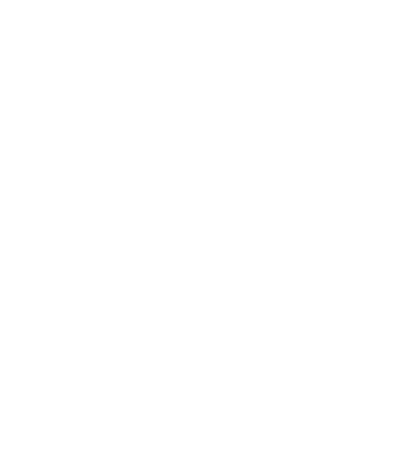 SHIP MASTER MIND SDN. BHD